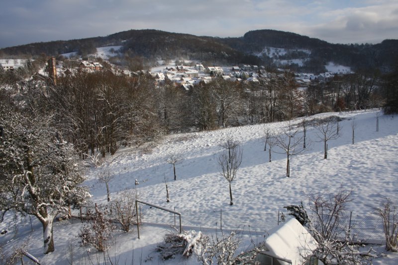 Winter 17.12.2010 005.JPG